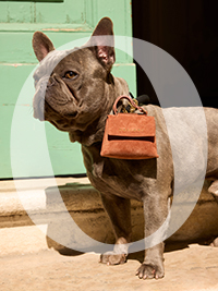 ORCIANI | Sveva Sense Scooby Small leather handbag with ORCIANI | Sveva Sense Scooby Small leather handbag with